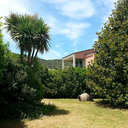 Villa Magnolia Ioannina Buitenkant foto